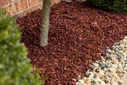 Rubber Chippings vs Wooden Mulch – Why Rubber is the Smarter Choice for Your Garden
