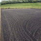 Equestrian Chippings